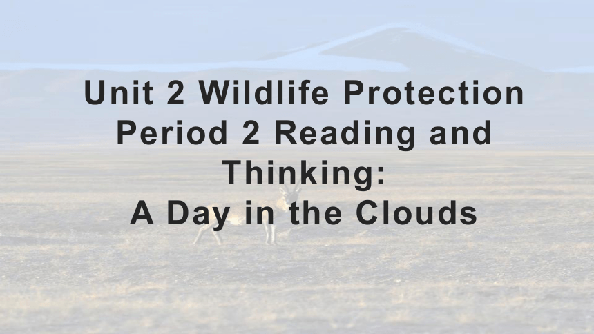 高中英语人教版（2019）必修第二册Unit 2 Wild life protection Reading and Thinking （共17张ppt）