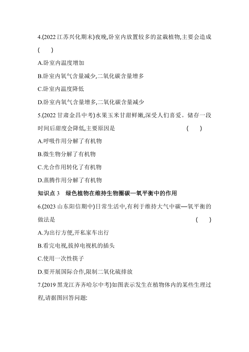 3.5.2绿色植物的呼吸作用素养提升练（含解析）人教版生物七年级上册