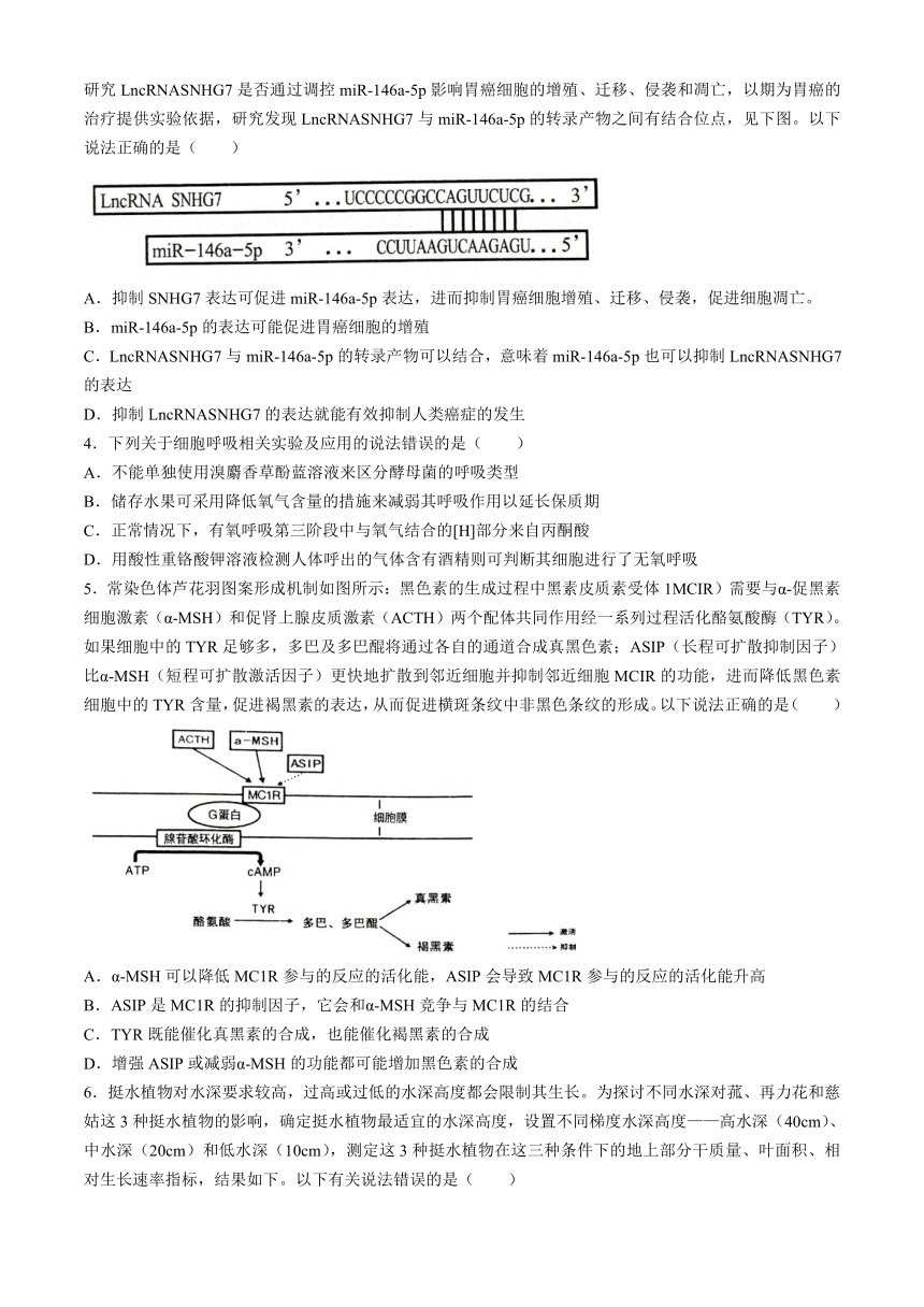 2024届湖南省岳阳市高三下学期教学质量监测（二）生物试题（含答案）