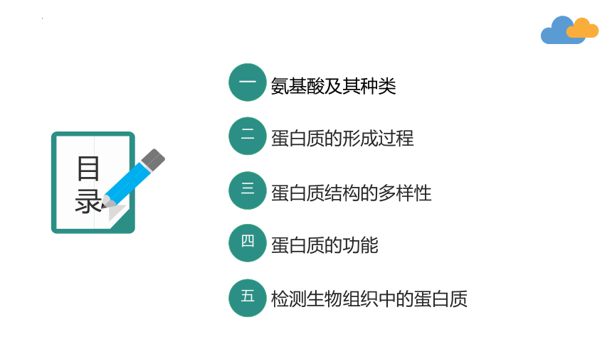 1.3.1 细胞的功能主要由蛋白质完成课件(共26张PPT)2023-2024学年高一上学期生物苏教版（2019）必修第一册