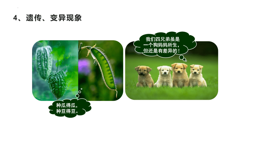 1.1.1 生物与生物学 课件(共18张PPT) 七年级生物上册 苏科版