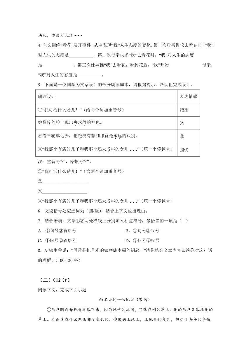 河南商丘夏邑县2023-2024学年七年级上册期中语文试题（含解析）