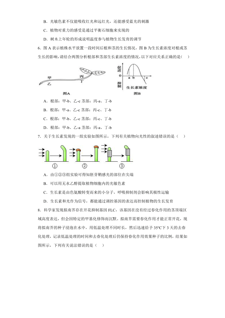 5.3 植物对多种环境信号做出反应 测试题 （有解析）2023-2024学年高中生物学浙科版（2019）选择性必修第一册