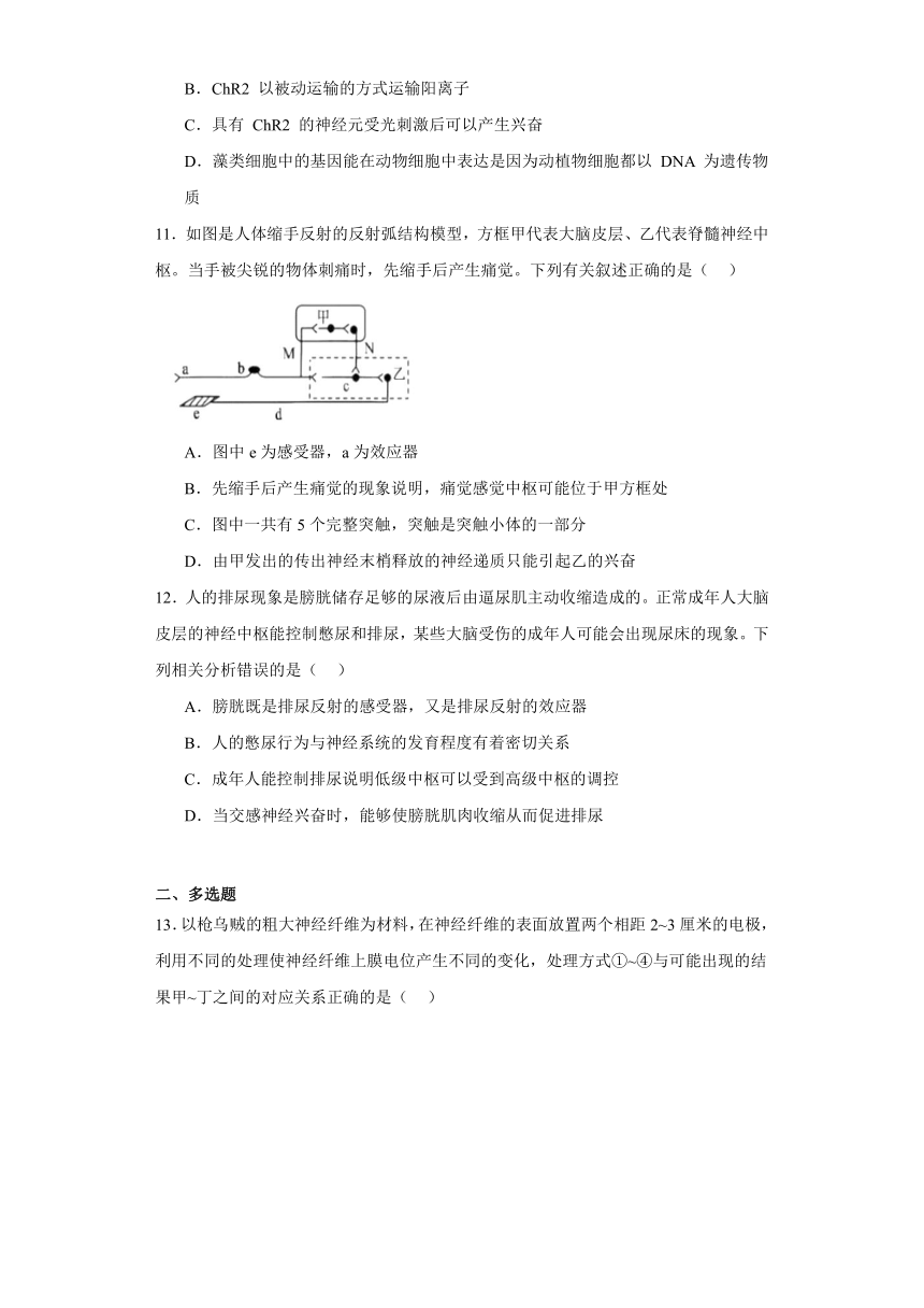 第一章 人体稳态维持的生理基础 训练题—2023-2024学年高中生物学苏教版（2019）选择性必修1（含答案）