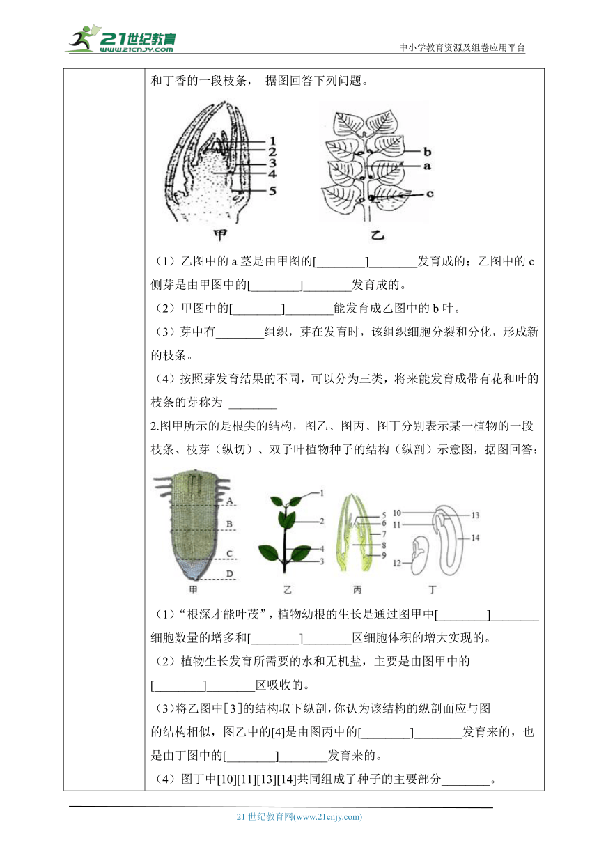 3.5.4  植物茎的输导功能-2023-2024学年七年级生物上册同步学案（苏教版）（含答案）