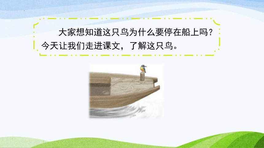 15.《搭船的鸟》课件(共两课时，47张PPT)