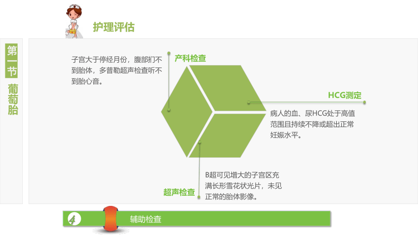 16.1葡萄胎 课件(共15张PPT)-《妇产科护理》同步教学（江苏大学出版社）