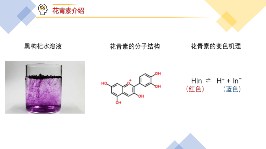 2.1.2 影响化学反应速率的因素(共20张PPT)-2023-2024学年高二上学期人教版（2019）高中化学选择性必修1