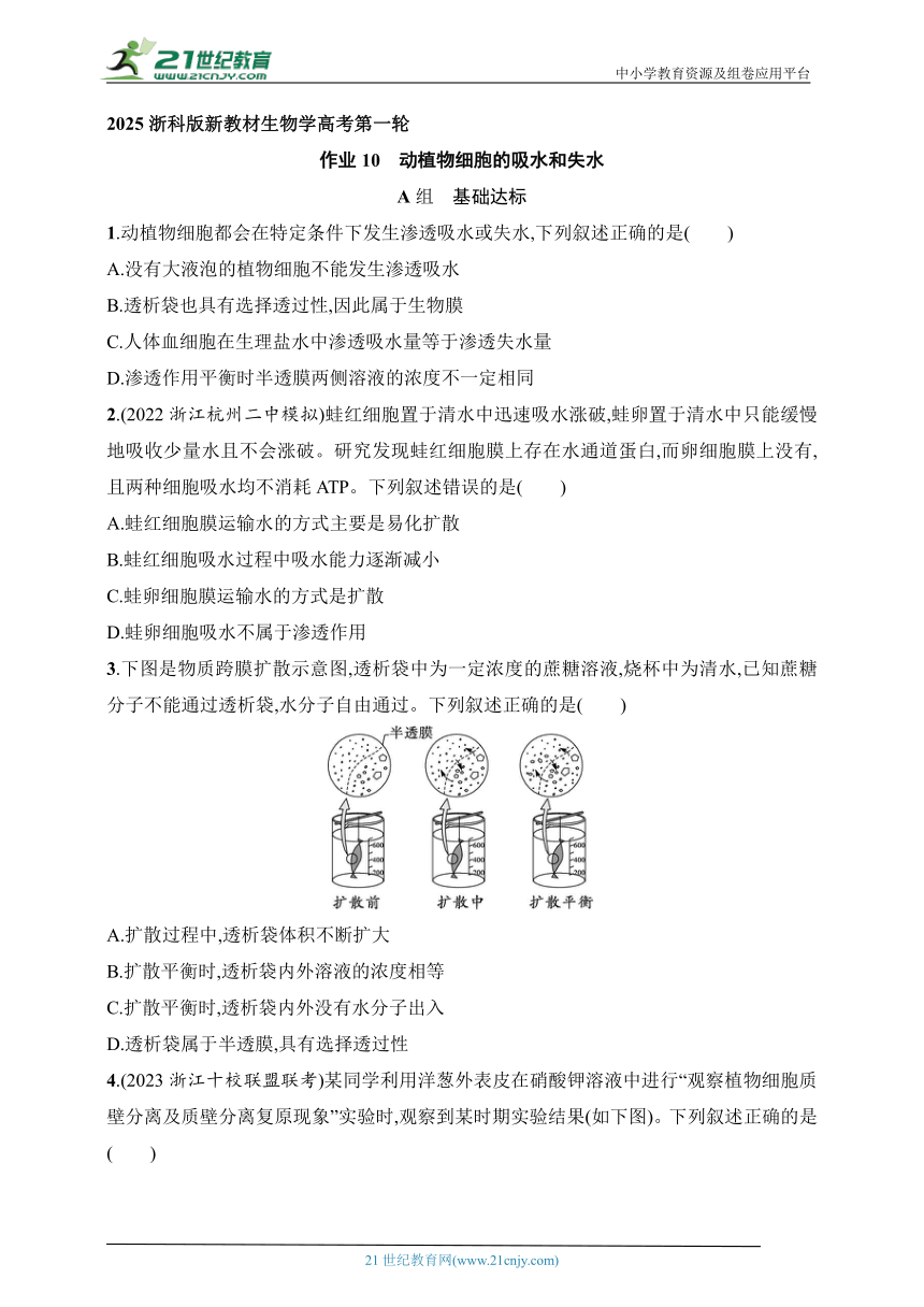 2025浙科版新教材生物学高考第一轮基础练--作业10　动植物细胞的吸水和失水（含解析）