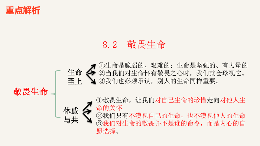 【新课标】七上 第四单元 生命的思考 期末复习课件(共41张PPT)