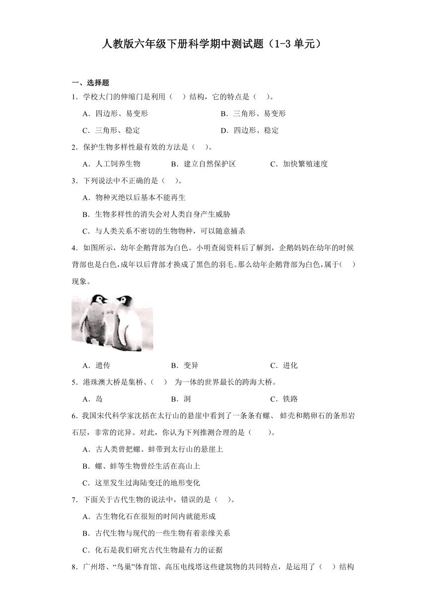 人教鄂教版（2017秋）小学科学 六年级下册期中测试题（1-3单元）（含答案）