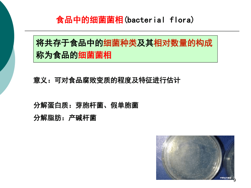 8食品污染及其预防-1 课件(共34张PPT)- 《营养与食品卫生学》同步教学（人卫版·第7版）