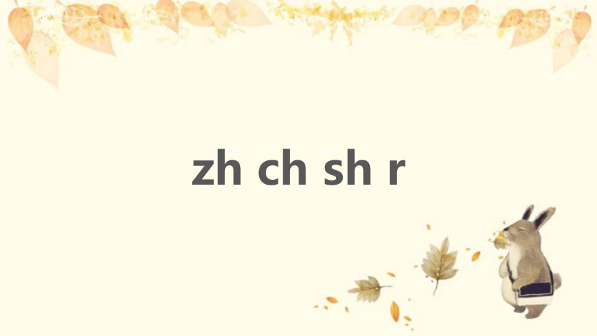 8 zh ch sh r 课件(共23张PPT)