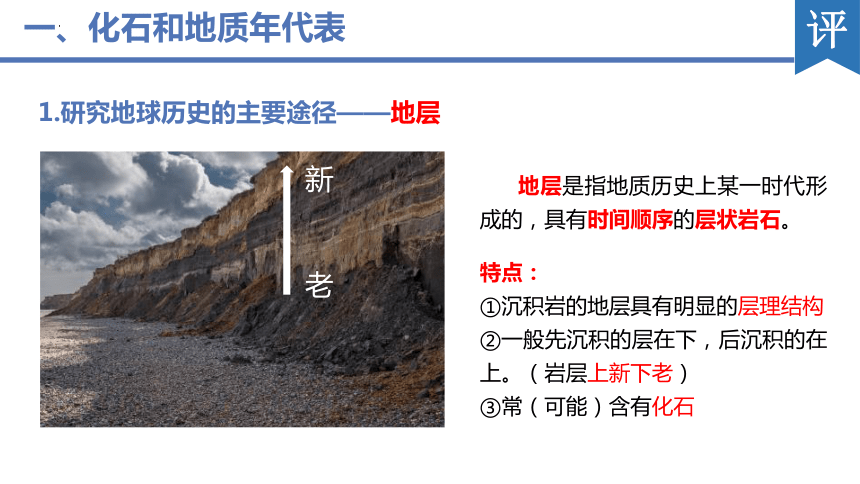 1.3 地球的历史 第1课时  课件 （41张）