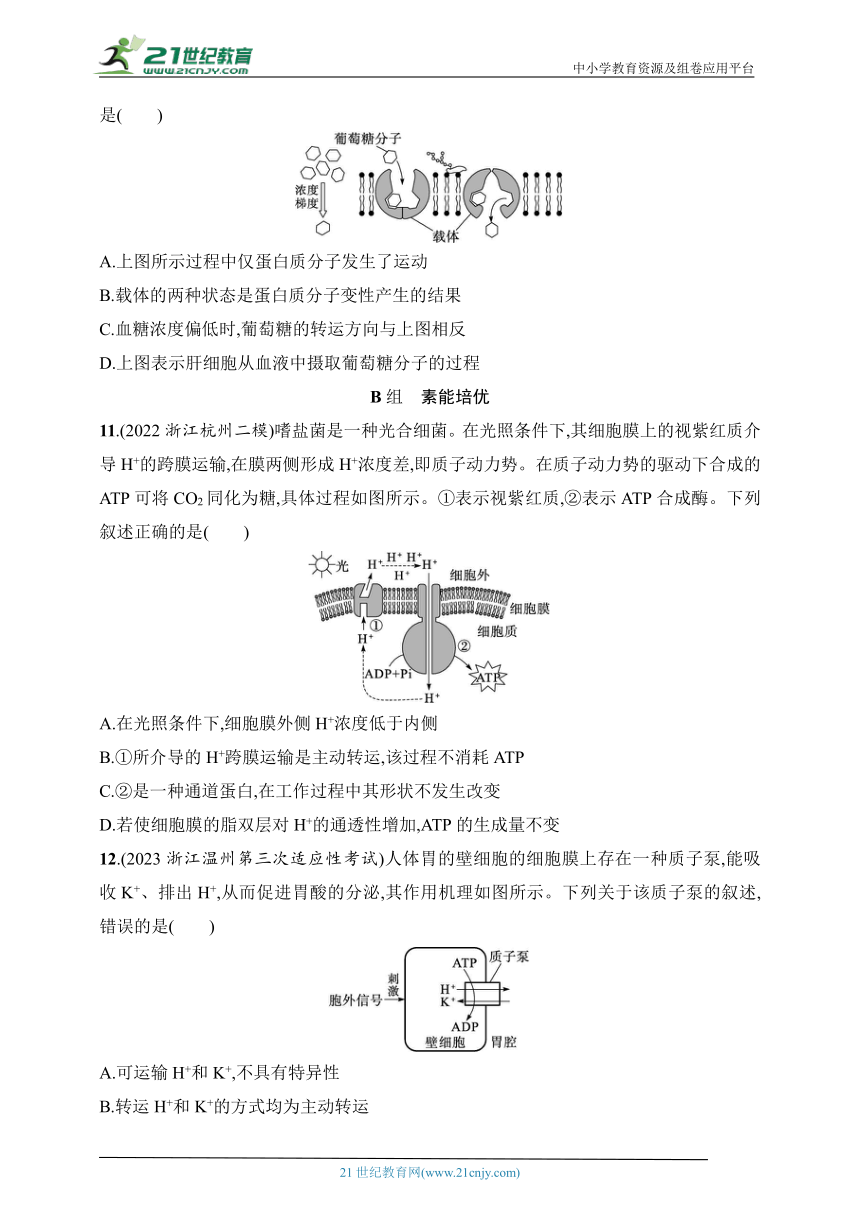 2025浙科版新教材生物学高考第一轮基础练--作业11　物质跨膜运输的方式及分析（含解析）