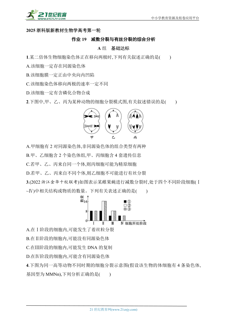 2025浙科版新教材生物学高考第一轮基础练--作业19　减数分裂与有丝分裂的综合分析（含解析）