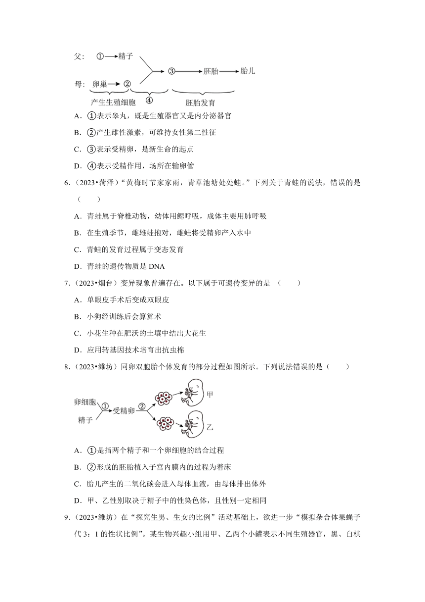 专题5生物的生殖、发育与遗传——2022-2023年山东省中考生物试题分类（含解析）