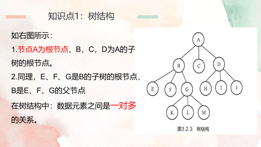 3.2数据与结构 第2课时 课件(共20张PPT) 2023—2024学年教科版（2019）高中信息技术必修1