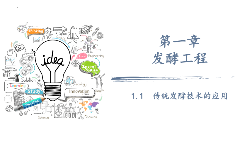 1.1传统发酵技术课件（共51张PPT） 人教版选择性必修三