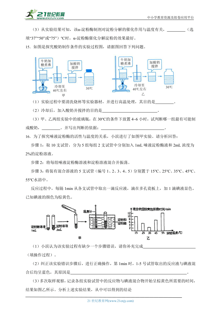 华师大版科学八上期末专题复习：食物的消化和吸收（含答案）