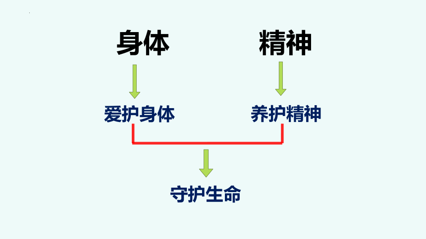 9.1守护生命课件(共22张PPT) 统编版道德与法治七年级上册