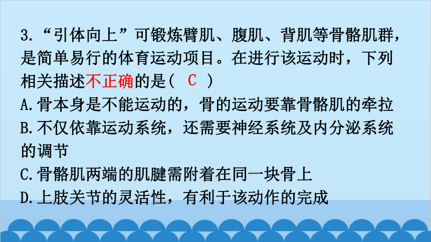 期末过关训练课件(共43张PPT)北师大版生物八年级上册