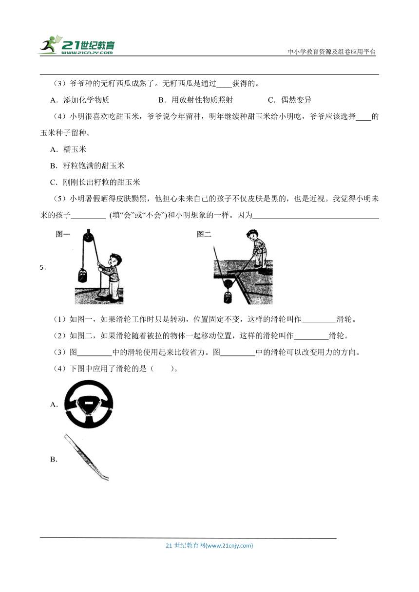 粤教版六年级上册科学期末综合题专题训练（含答案）