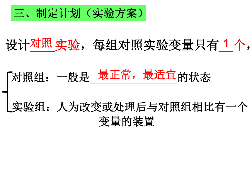 3.2.1种子的萌发课件(共22张PPT)2023年秋人教版生物七年级上册