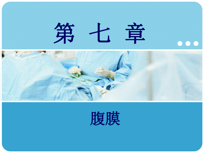 第七章  腹膜 课件(共24张PPT)-《解剖学基础》同步教学（江苏大学出版社）