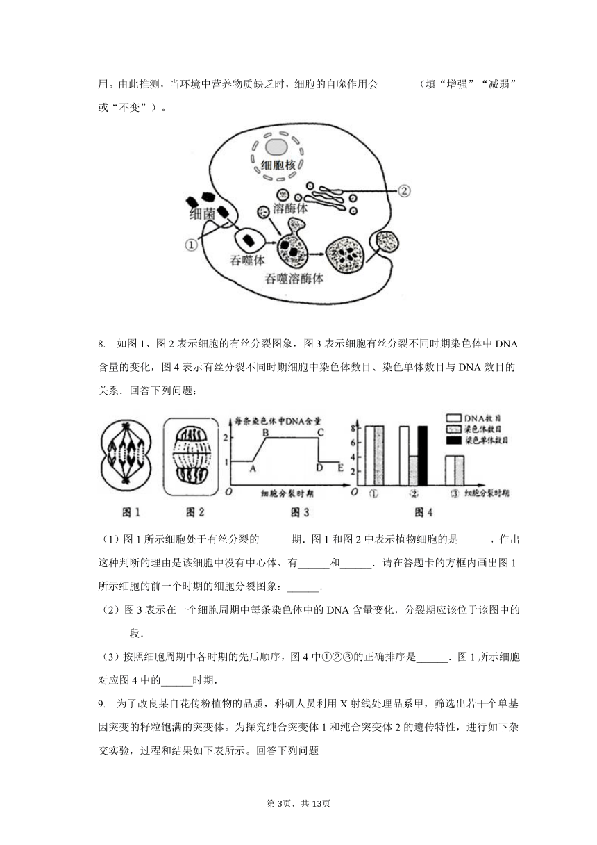 2023-2024学年四川省眉山市彭山重点中学高三（上）开学生物试卷（含解析）