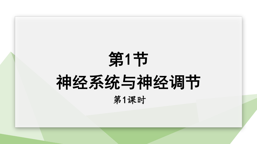 4.12.1 神经系统与神经调节 第1课时 课件 (共20张PPT)2023-2024学年初中生物北师版七年级下册