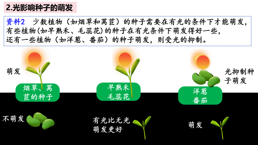5.4环境因素参与调节植物的生命活动课件(共33张PPT)-人教版（2019）选择性必修1
