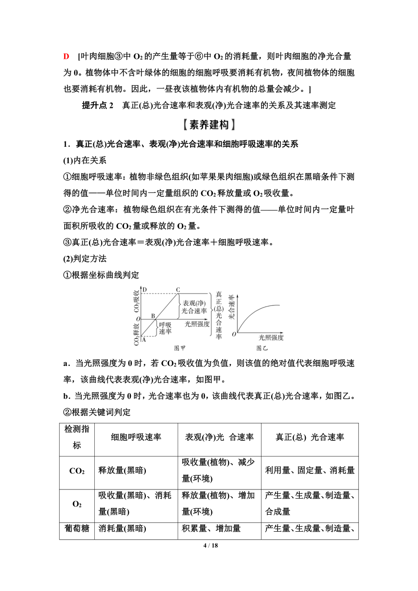 新人教生物学一轮复习素养加强课：2　光合作用和细胞呼吸的综合（含答案）