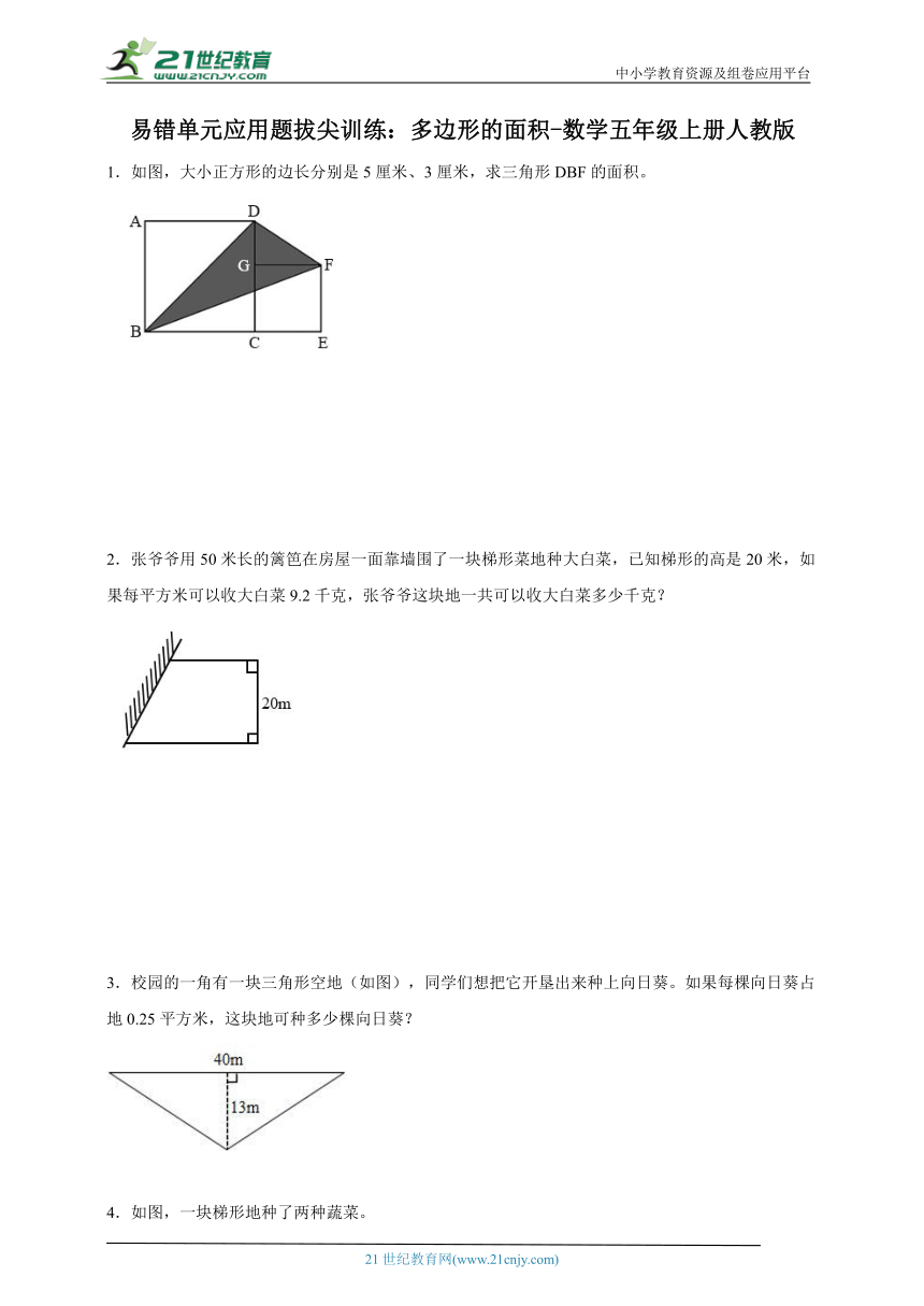 易错单元应用题拔尖训练：多边形的面积（含答案）数学五年级上册人教版