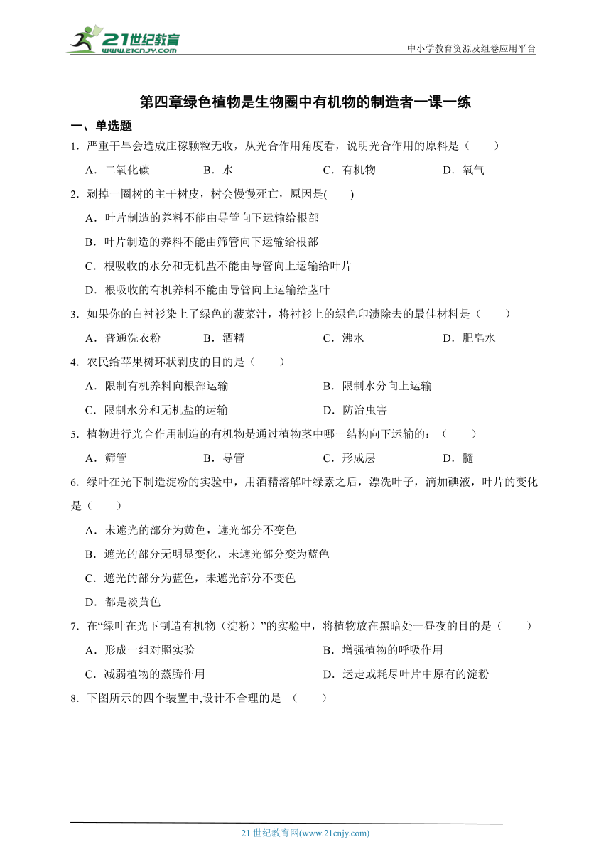 3.4绿色植物是生物圈中有机物的制造者一课一练（含解析）