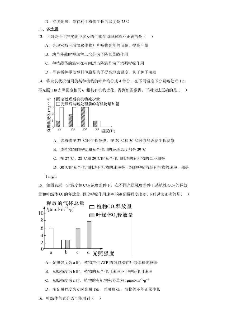 5.4 光合作用与能量转化测试题（含解析）2023-2024学年高中生物学人教版（2019）必修1