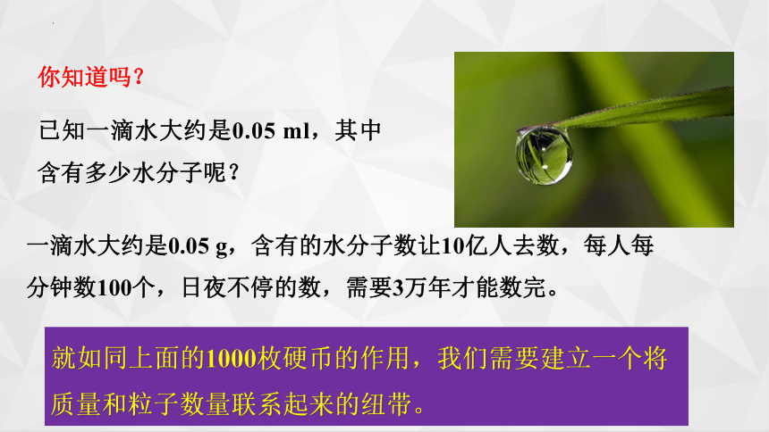 2.3物质的量（四课时全部71张）课件2023-2024学年高一上学期化学人教版（2019）必修 第一册