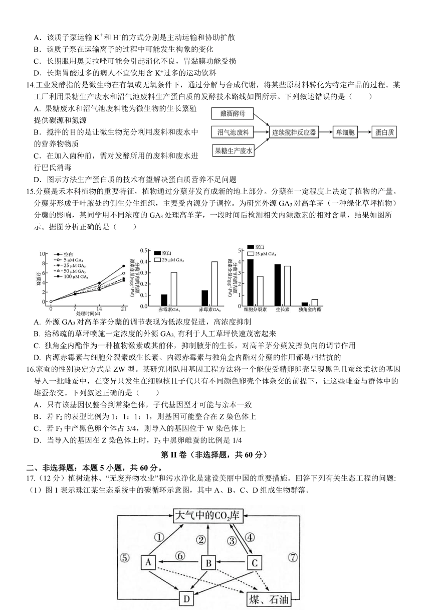 测试卷08-备战2024年高考生物模拟测试卷（广东专用）(有答案)