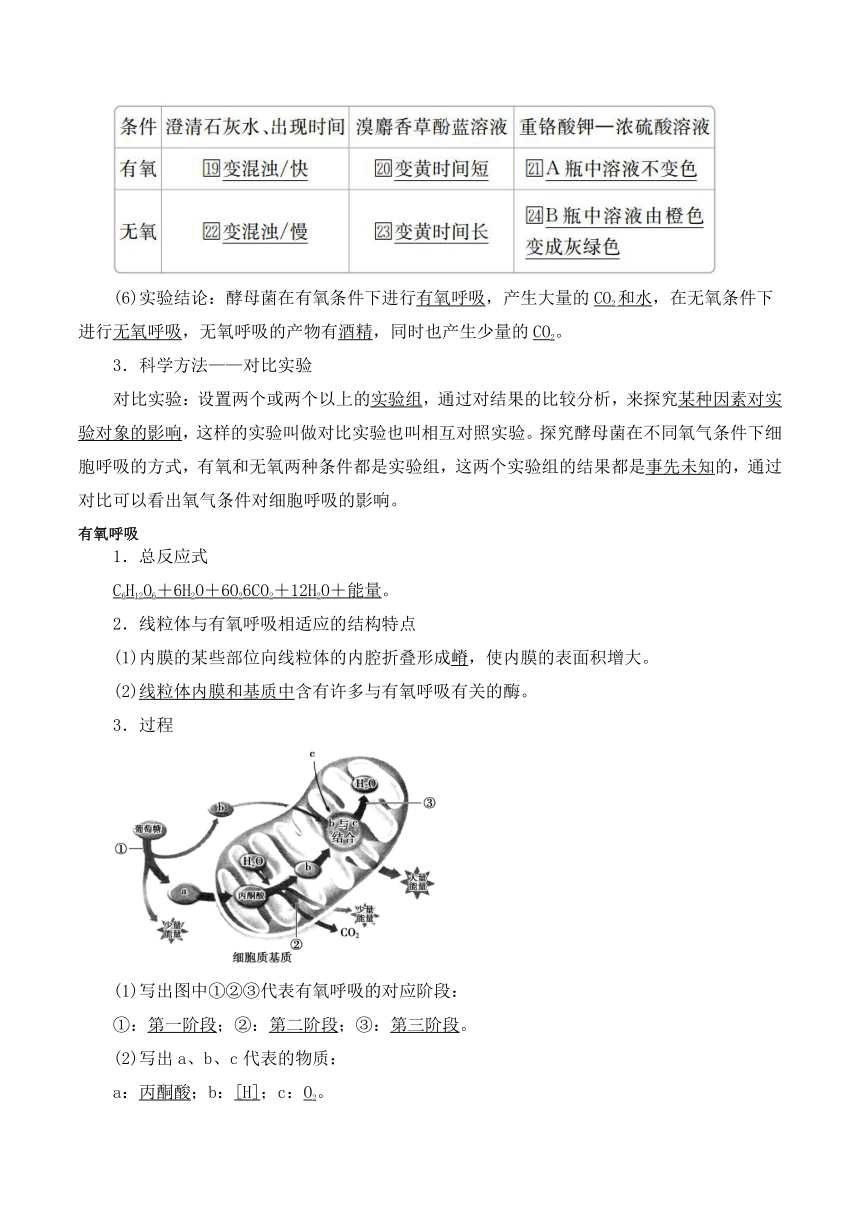 5.3细胞呼吸的原理和应用学案(含答案）