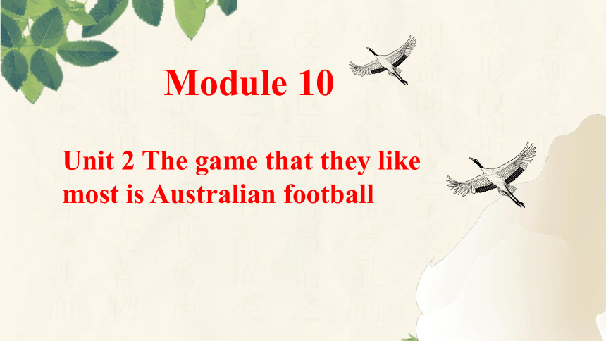 Module 10 Unit 2 The game that they like most is Australian football课件(共25张PPT)
