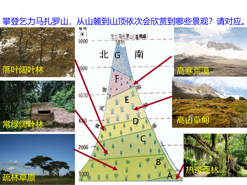 5.2垂直地域分异规律和地方性分异规律第二课时课件（共27张ppt)