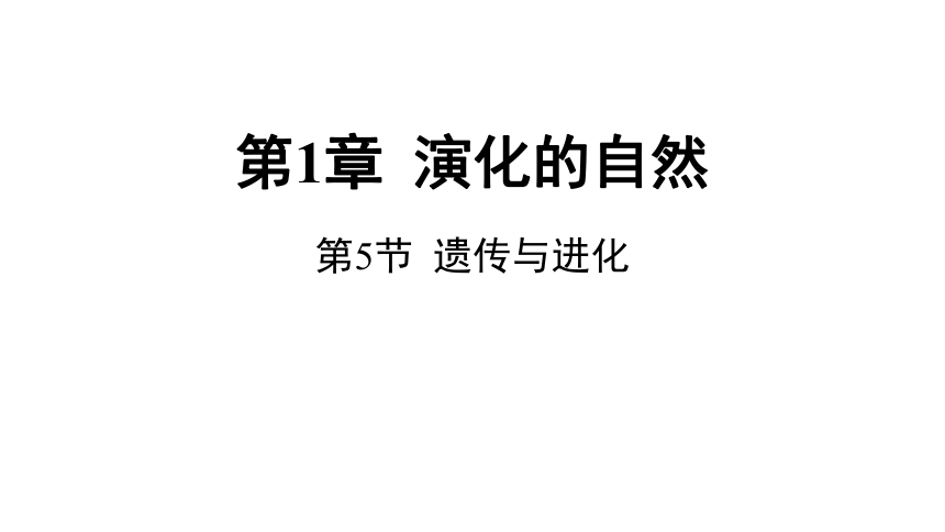 1.5遗传与进化（课件 29张PPT 学案)