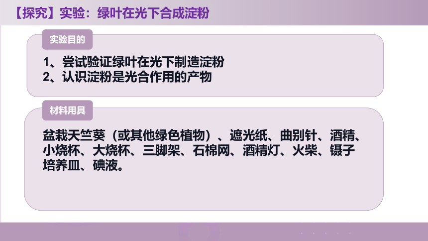 3.3.1 光合作用的产物-【探究课堂】2023-2024学年八年级生物上册同步教学课件（冀少版）(共24张PPT)