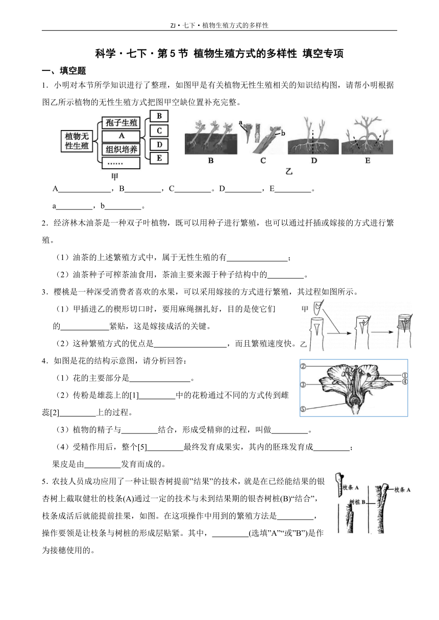 1.5 植物生殖方式的多样性 填空专项（含答案）