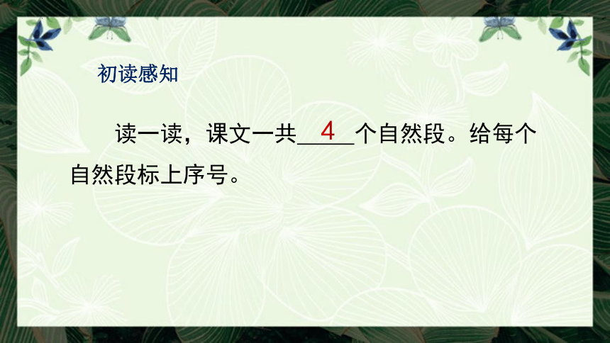 16 朱德的扁担 课件(共21张PPT)