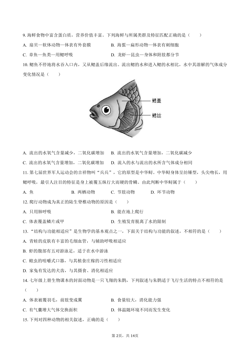 2023-2024学年河北省张家口市蔚县衡实学校八年级（上）第一次月考生物试卷（含解析）