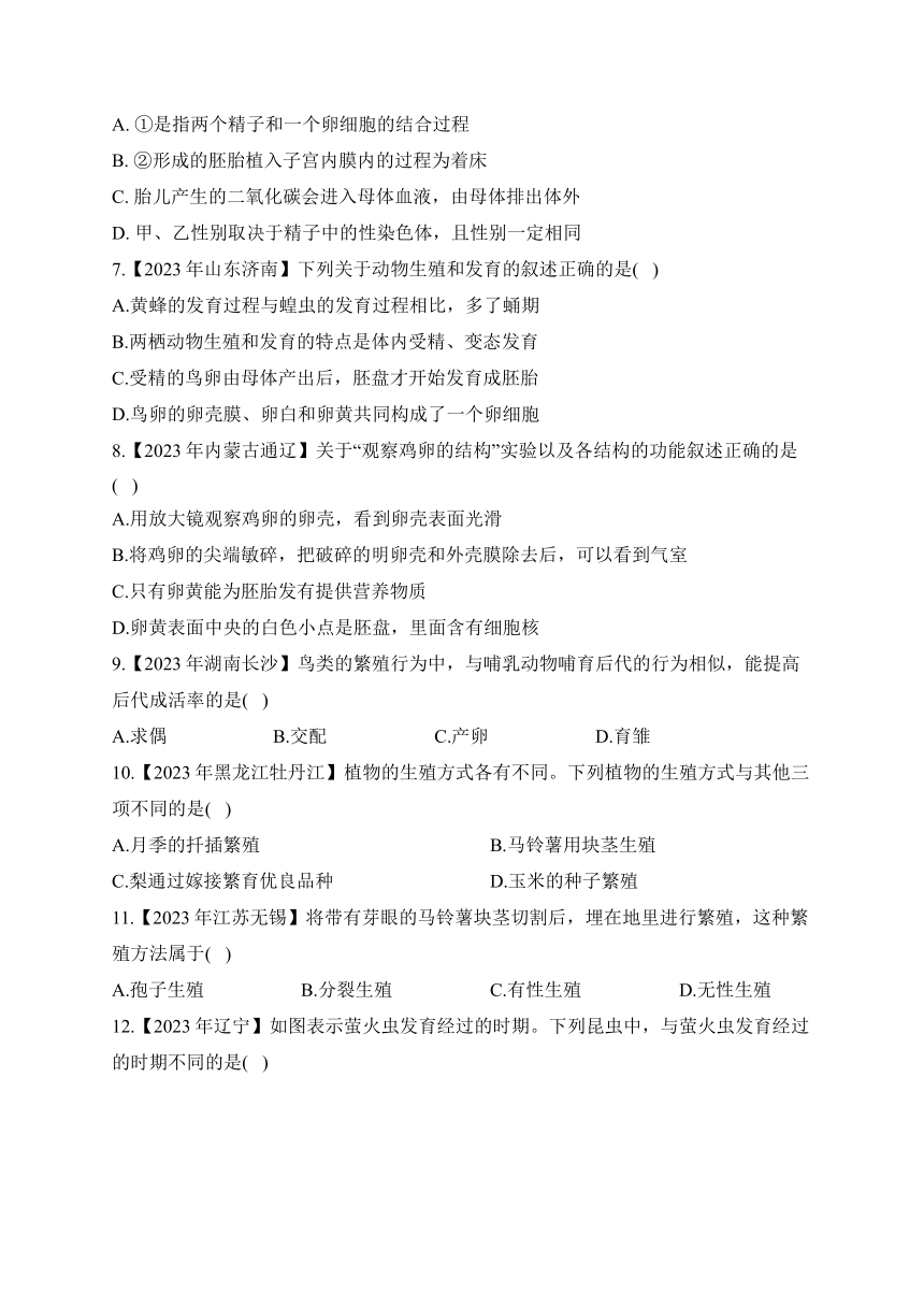 （17）生物的生殖与发育——2023年中考生物真题专项汇编（含答案）