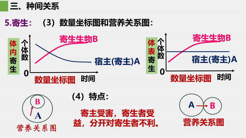 2.1群落的结构 第2课时课件(共34张PPT)-2023-2024学年高二上学期生物人教版（2019）选择性必修2