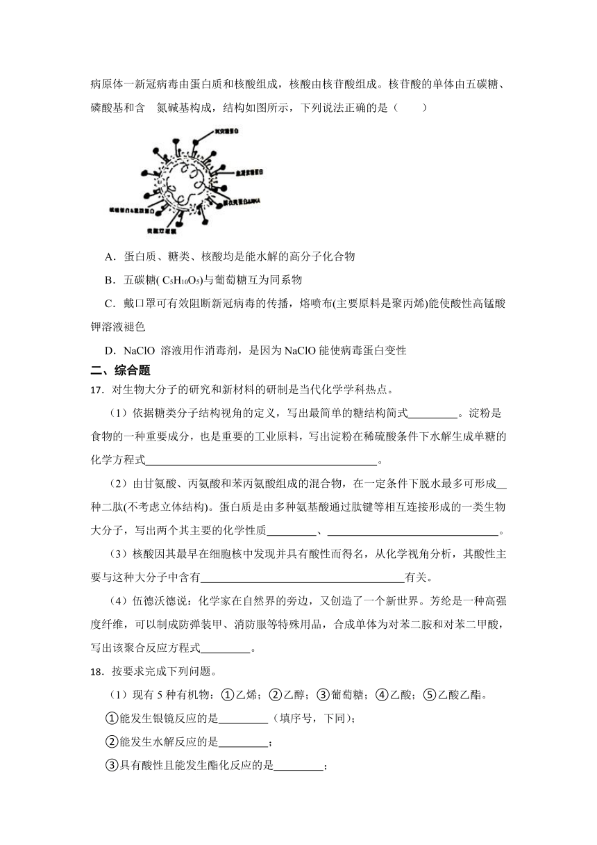 第四章 生物大分子 课后测试题（含解析） 2023-2024学年高二下学期化学人教版（2019）选择性必修3