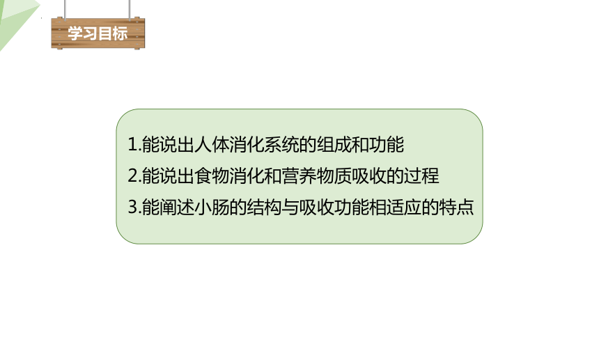 4.8.2 食物的消化和营养物质的吸收 课件 (共24张PPT)初中生物北师版七年级下册